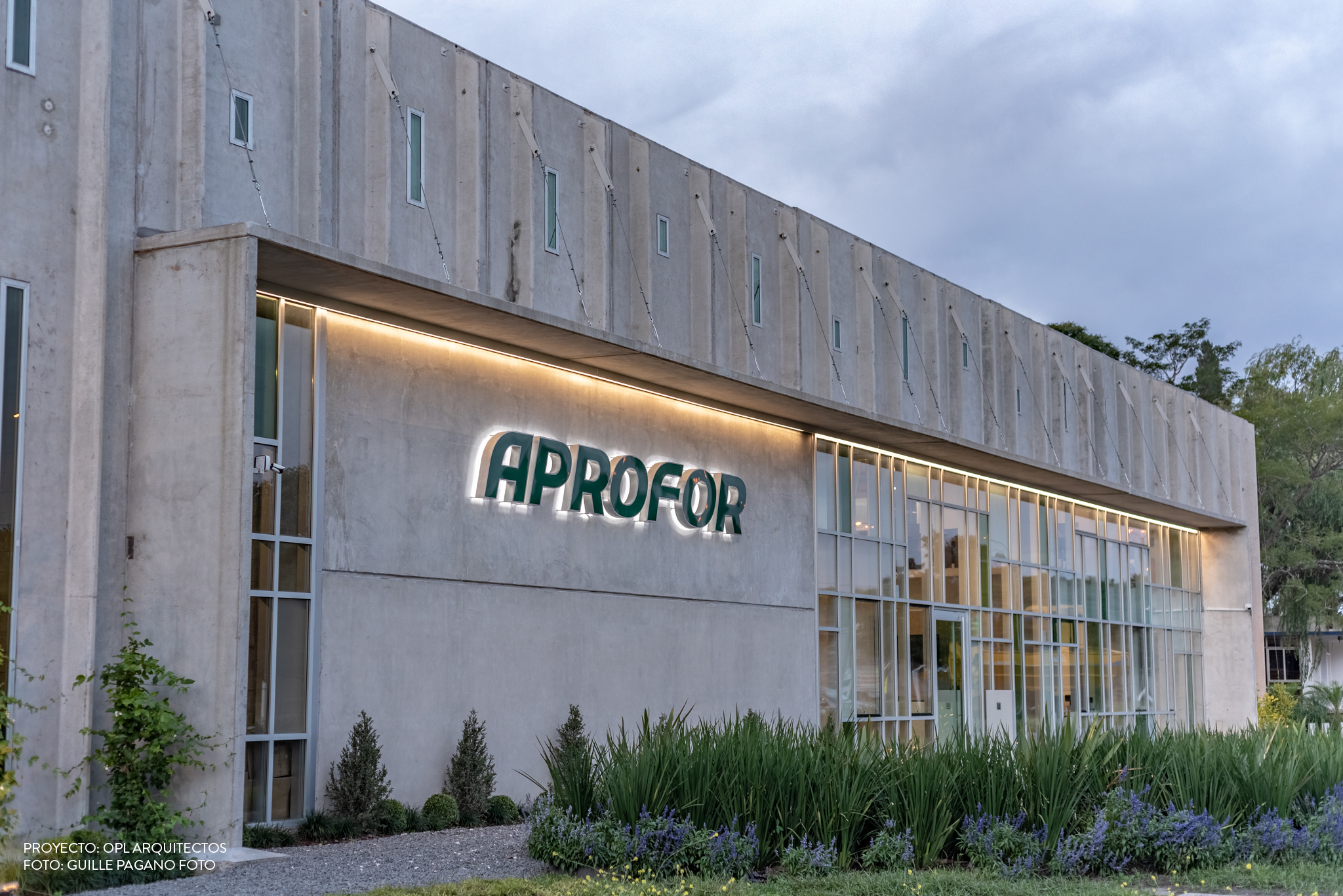 Aprofor Web--20