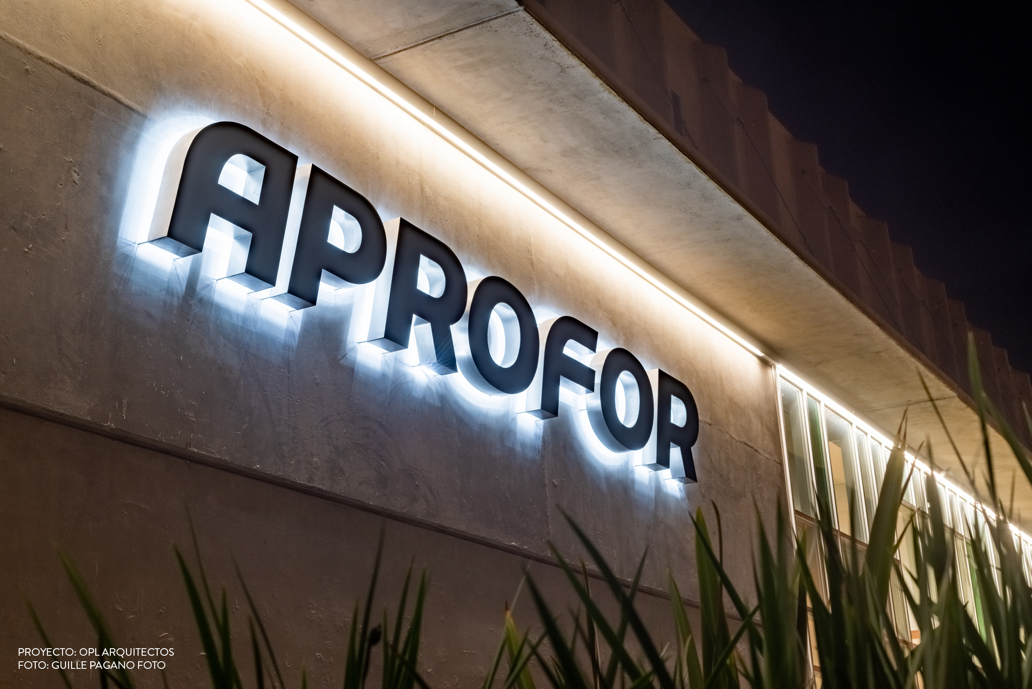 Aprofor Web--37
