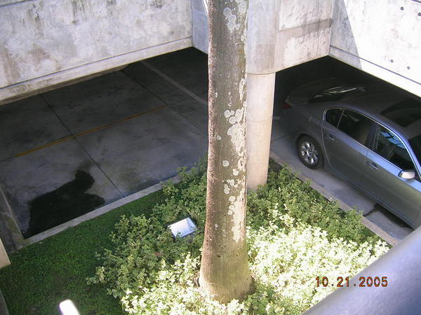 Imagen 004