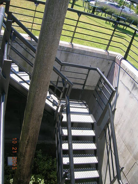 Imagen 006