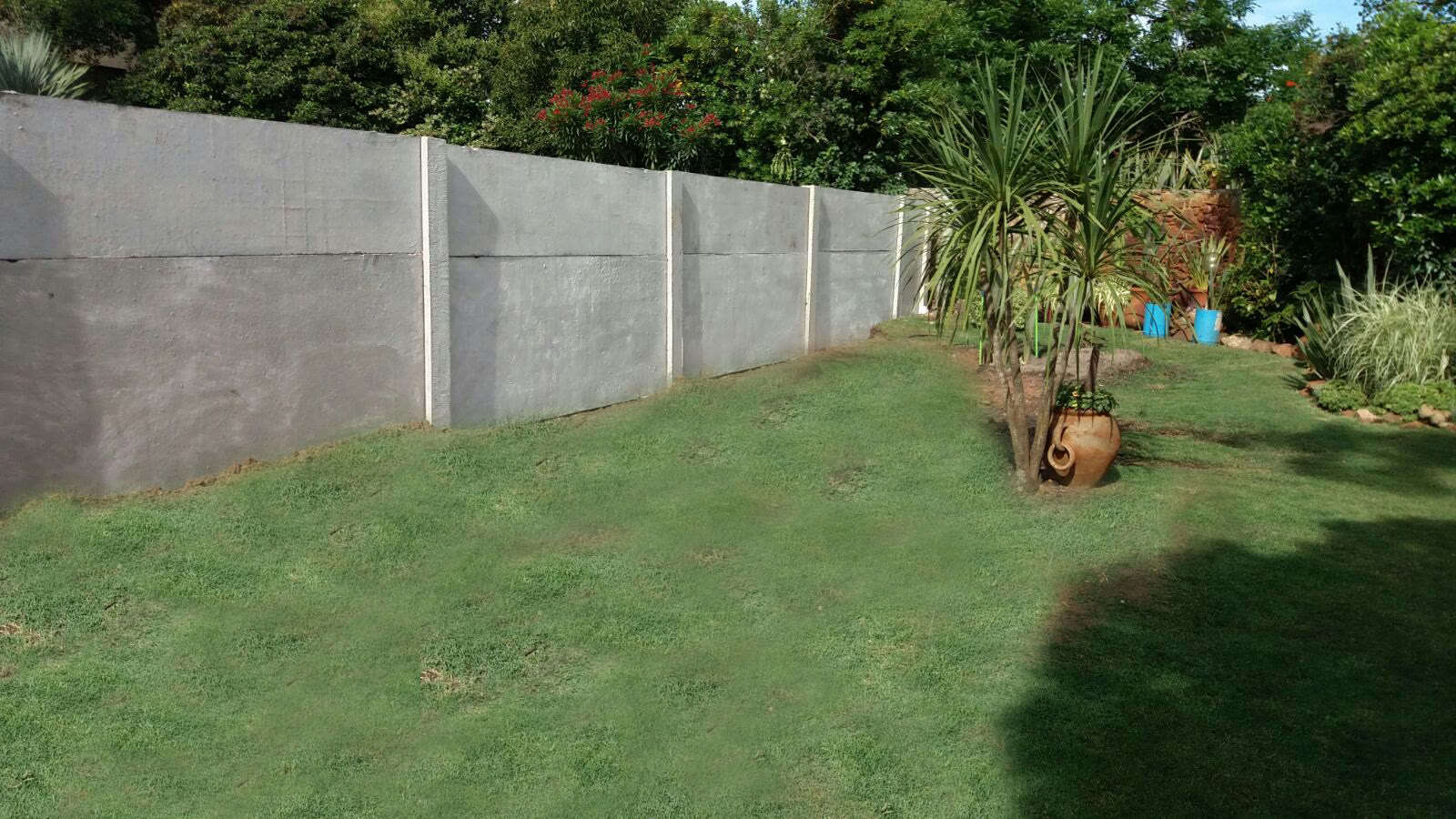 Muro Perimetral (2)